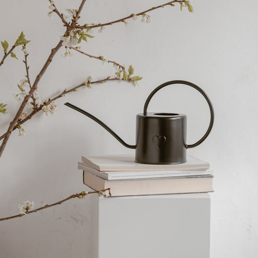Schwarze Metallgießkanne mit Herz auf Büchern, minimalistisch inszeniert