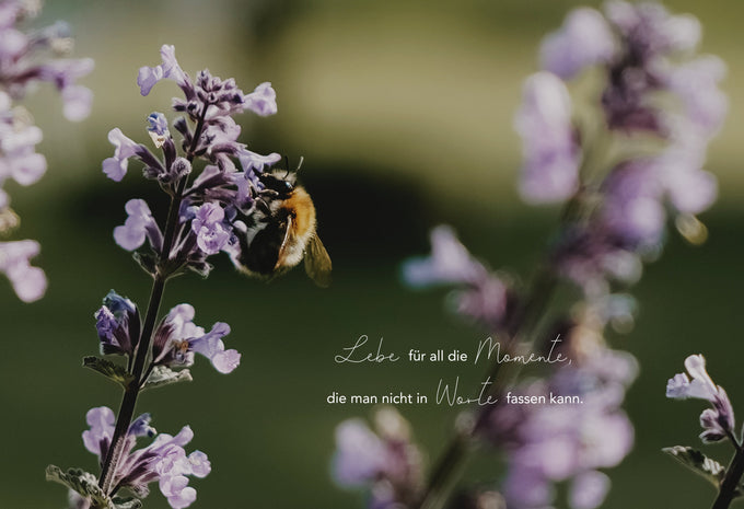 Dein neues Juni-Wallpaper ist da | Juni 2026