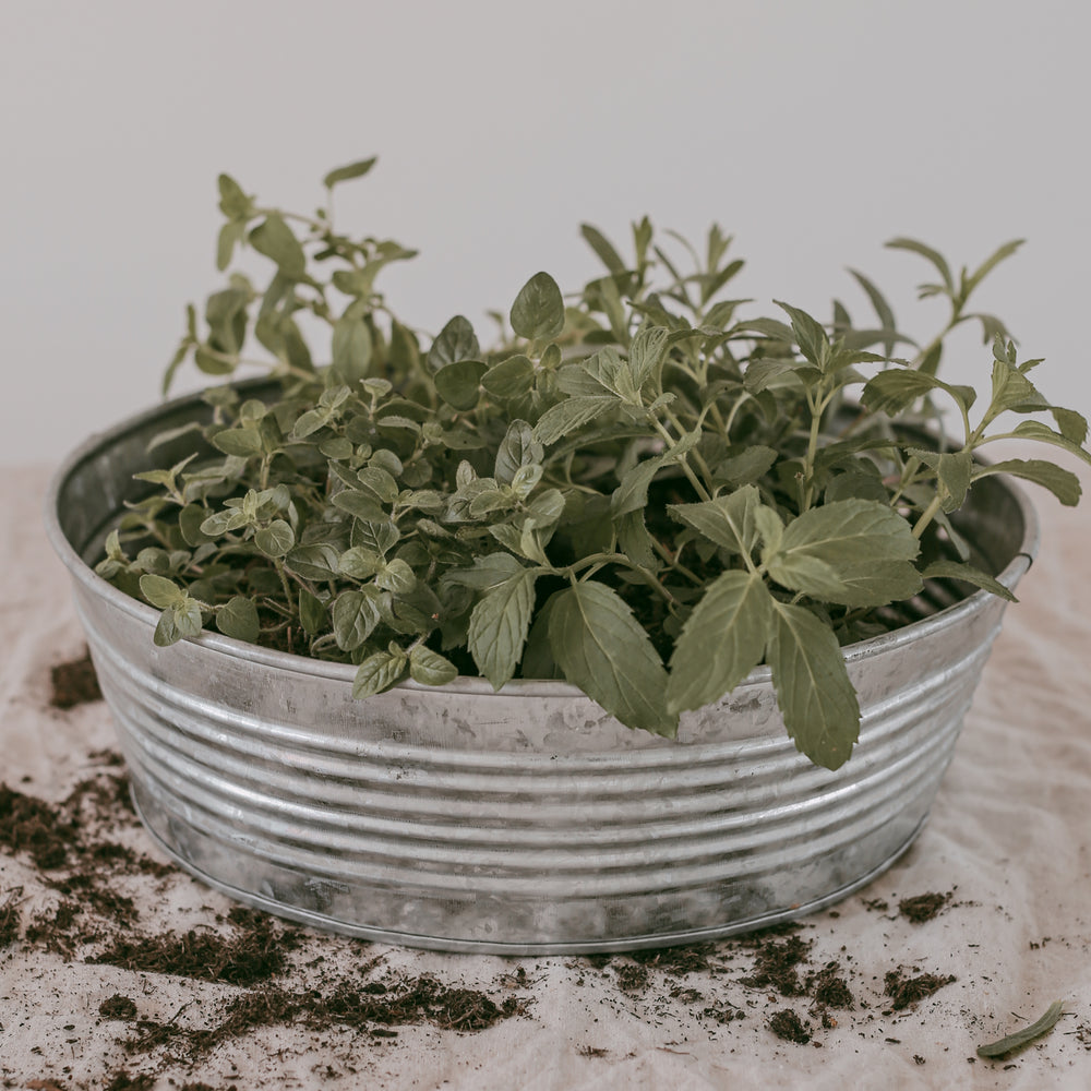 Aufbewahrungsbox rund – 30 cm pure Ordnung