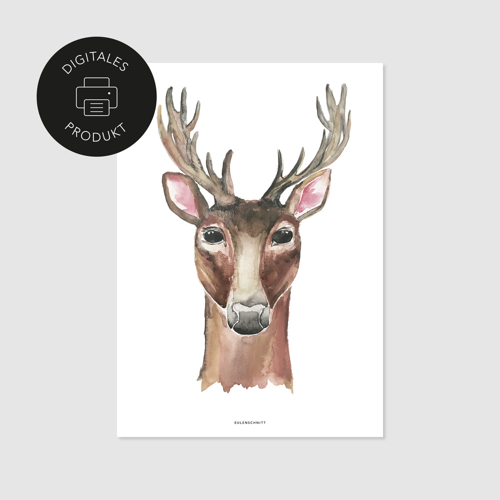 Poster Reh zum Download