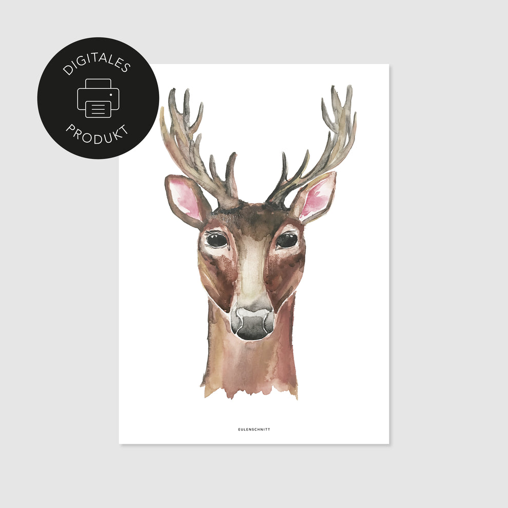 Poster Reh zum Download