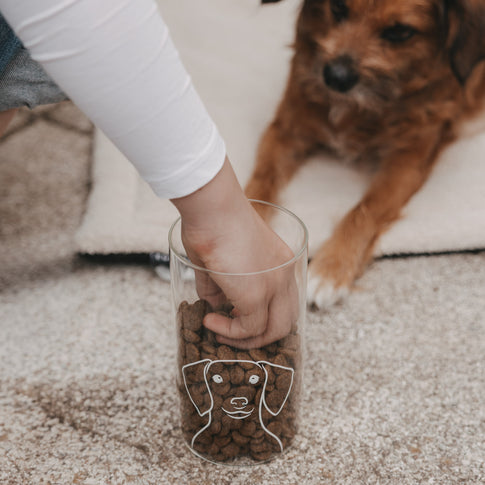 Hand nimmt Hundefutter aus einem Vorratsglas mit Hundemotiv, während ein brauner Hund im Hintergrund wartet.