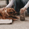 Brauner Hund beobachtet, wie eine Hand Futter aus dem Vorratsglas mit Hundemotiv nimmt.