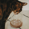 Getigerte Katze steckt den Kopf in ein leeres transparentes Vorratsglas mit weißem Katzenmotiv.