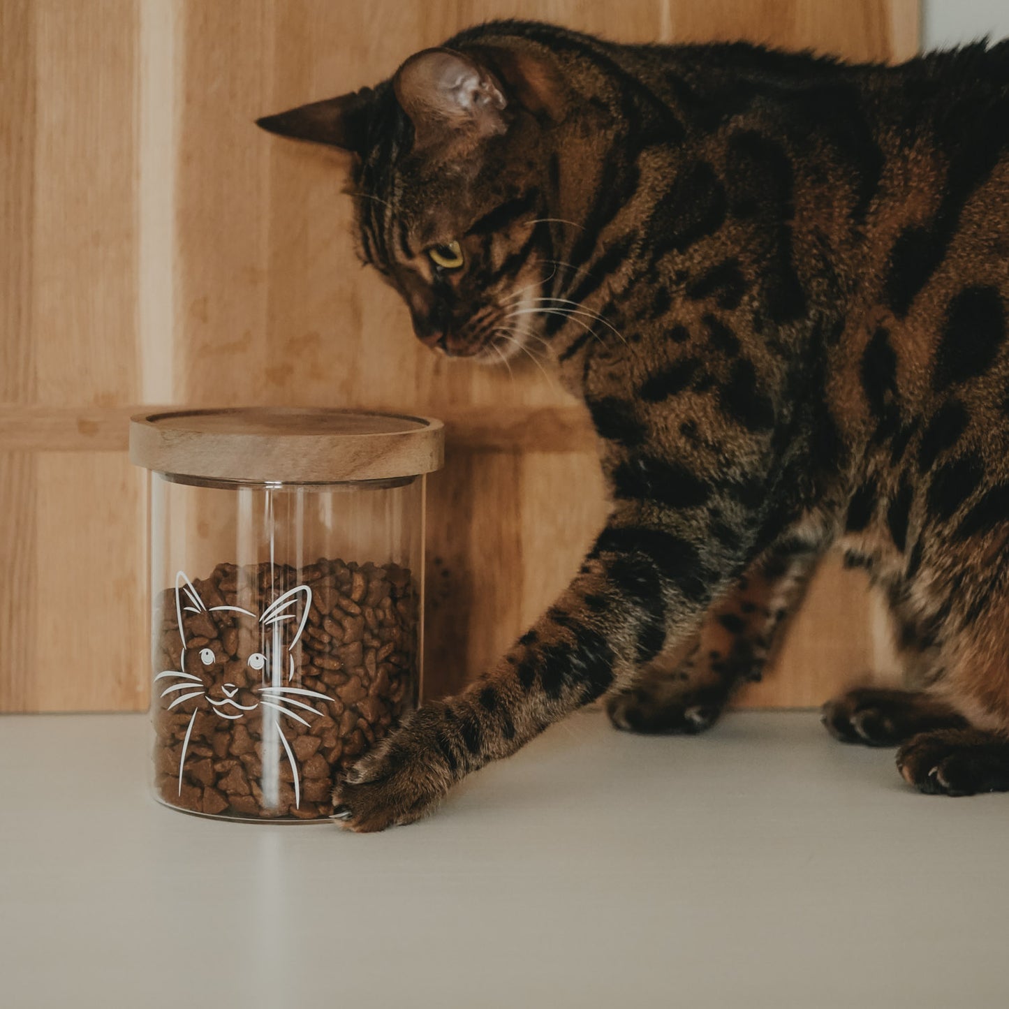 Getigerte Katze neben einem transparenten Vorratsglas mit Katzenmotiv, gefüllt mit Trockenfutter.