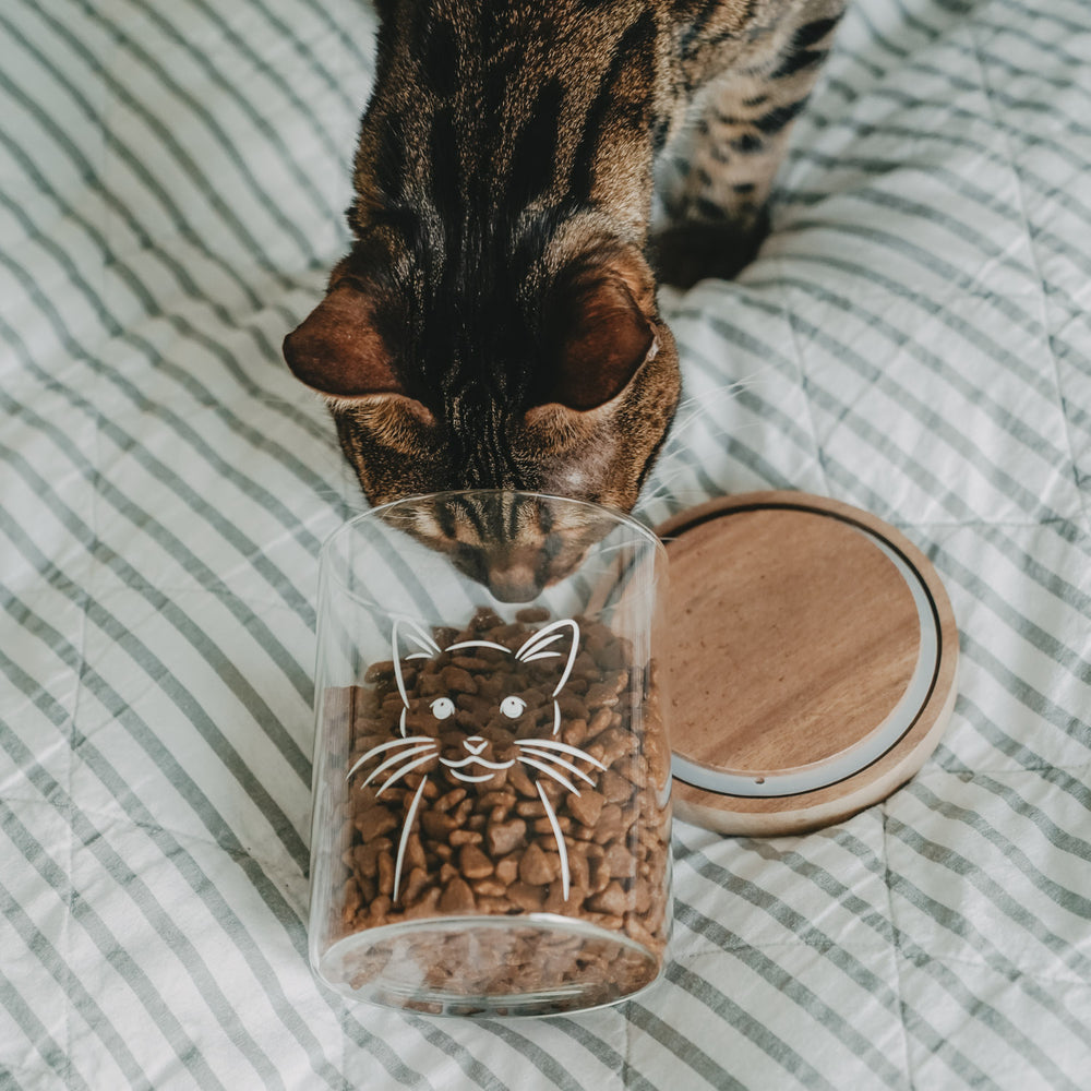Katze schnuppert an einem transparenten Vorratsglas mit Katzenmotiv und Trockenfutter auf gestreifter Bettwäsche.