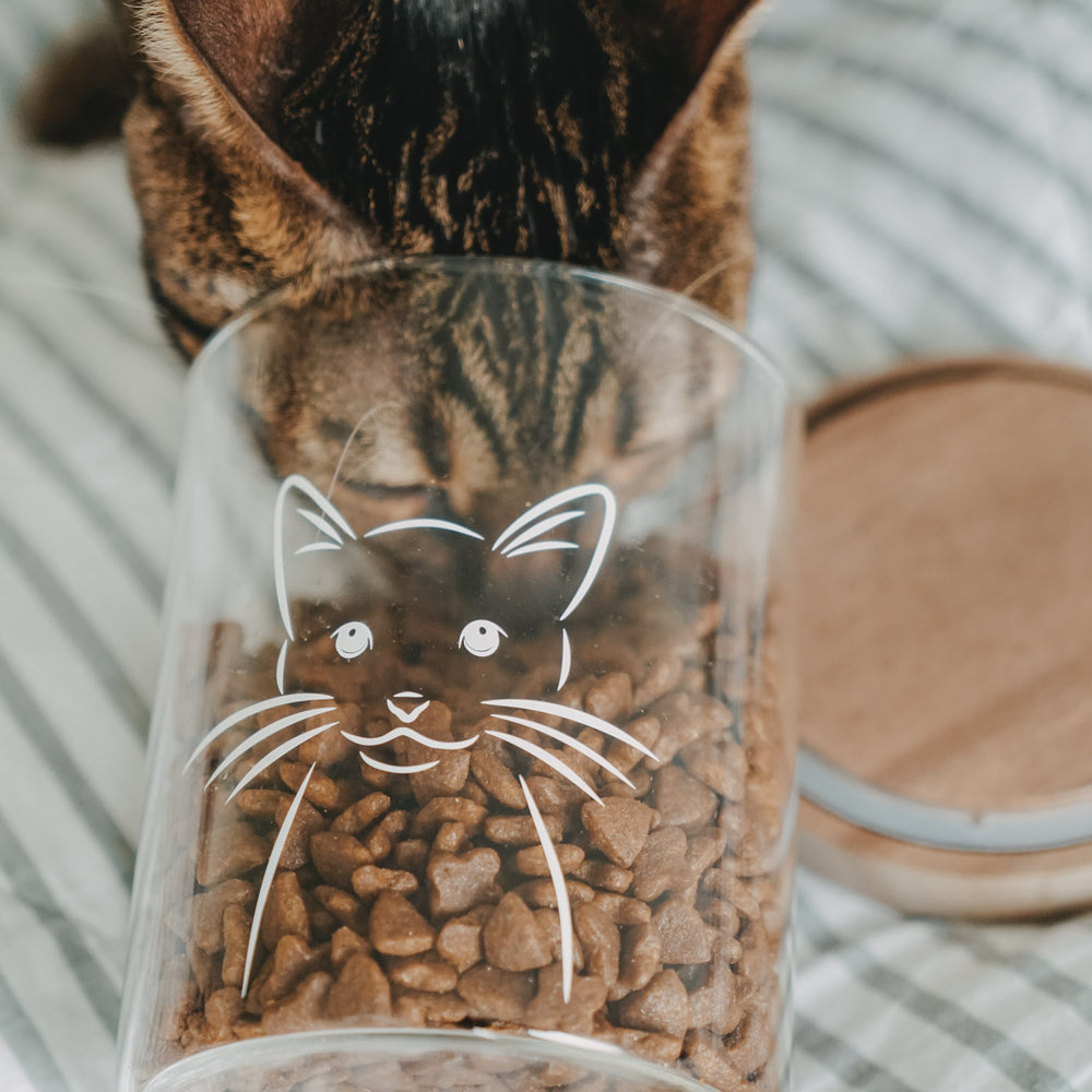 Nahaufnahme eines Vorratsglases mit weißem Katzenmotiv und Trockenfutter, während eine Katze daraus frisst.