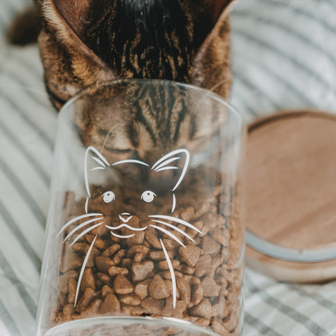 Nahaufnahme eines Vorratsglases mit weißem Katzenmotiv und Trockenfutter, während eine Katze daraus frisst.