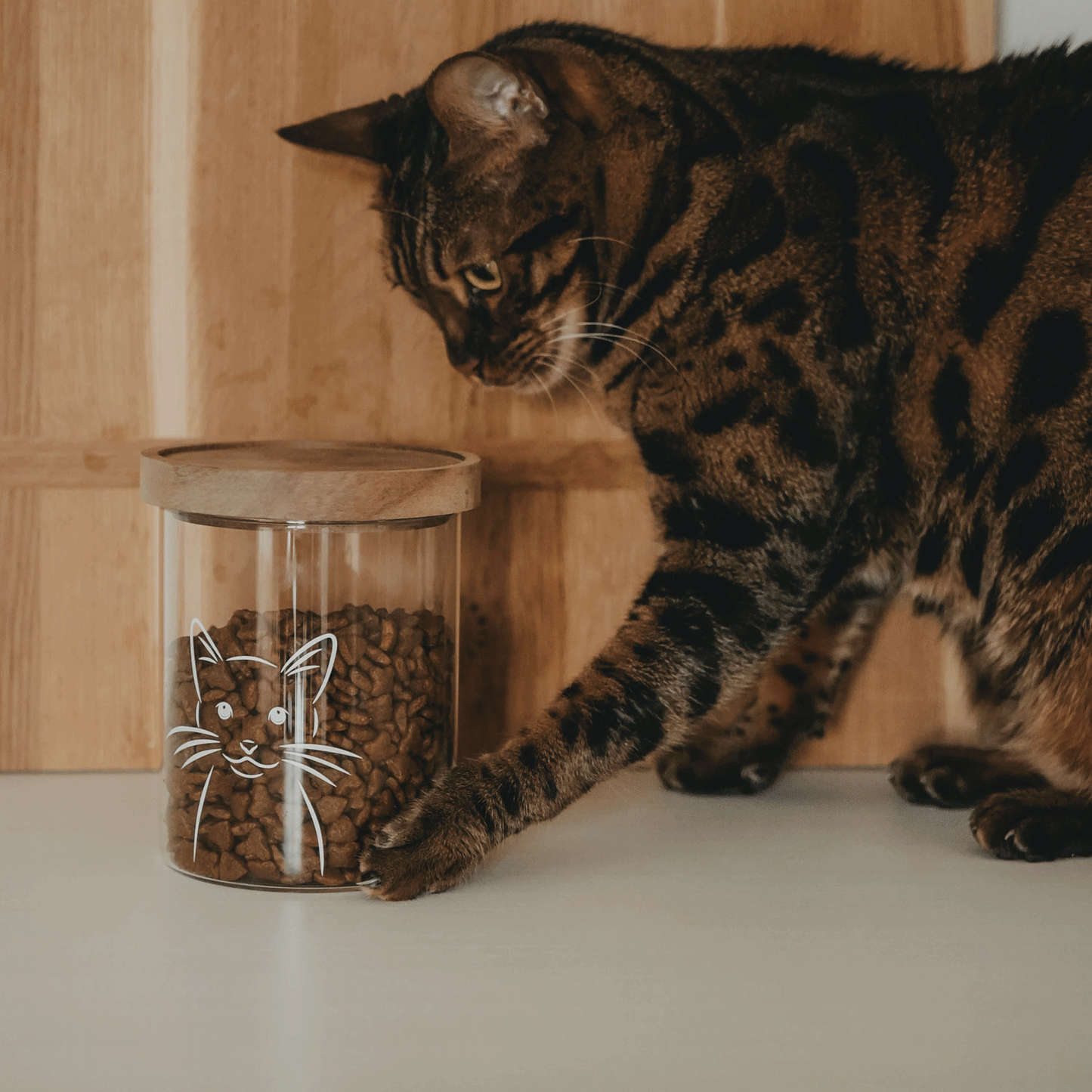 Mehrere Bilder in Abfolge: Getigerte Katze neben einem mit Trockenfutter gefüllten Vorratsglas mit Katzenmotiv und Holzdeckel.