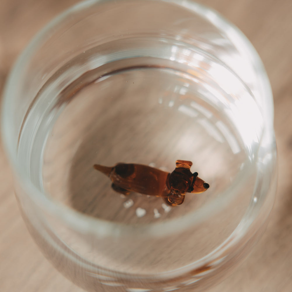 Blick von oben in ein transparentes Trinkglas mit brauner Dackelfigur am Glasboden auf hellem Holztisch.