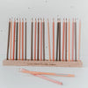 Stiftehalter Buntes Leben