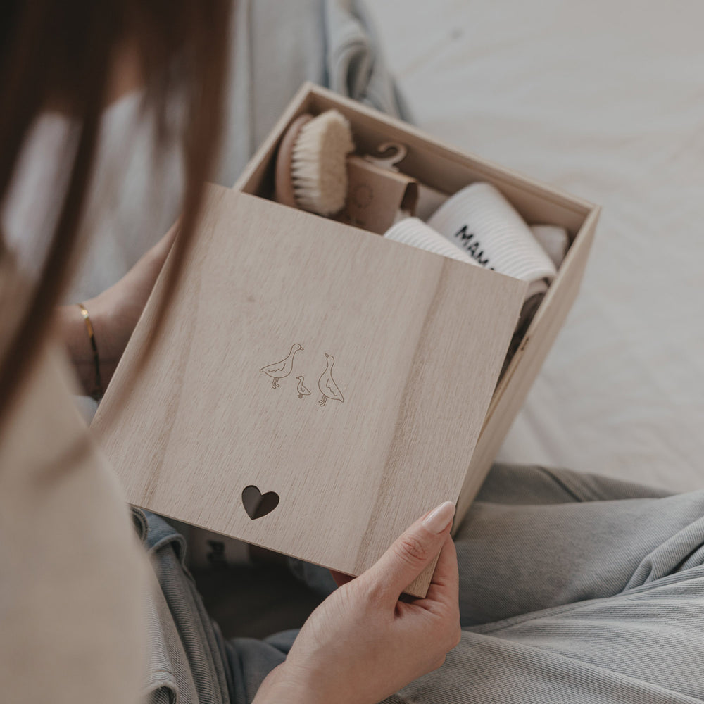 Erinnerungsbox Gänse