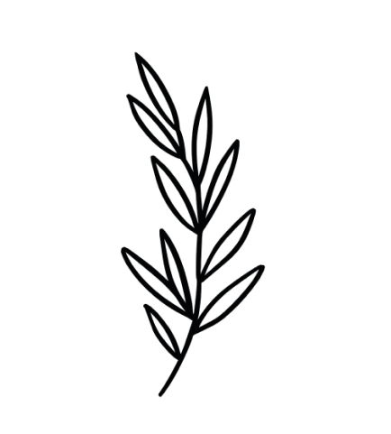 100% vegan & naturrein