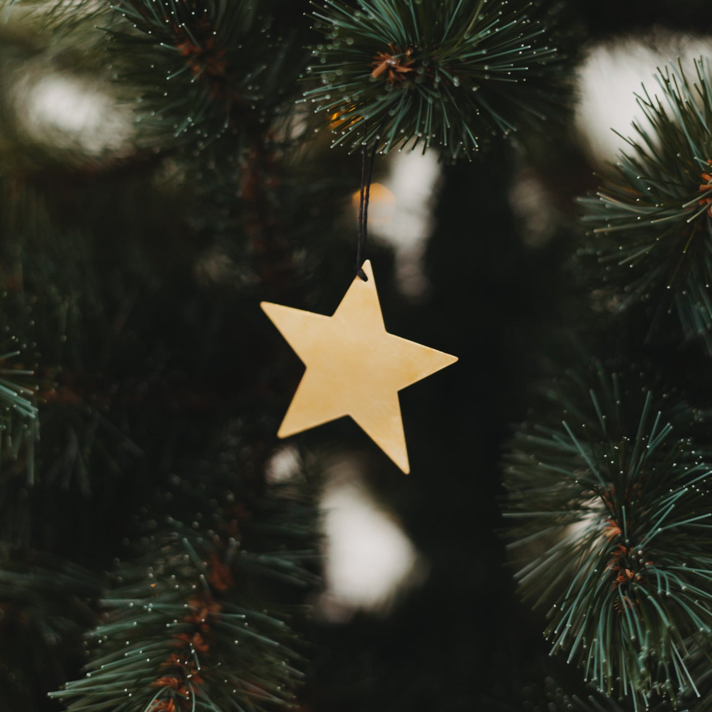 Goldener Sternanhänger am Tannenbaum mit Lichterkette – festliche Weihnachtsdeko mit elegantem Glanz.