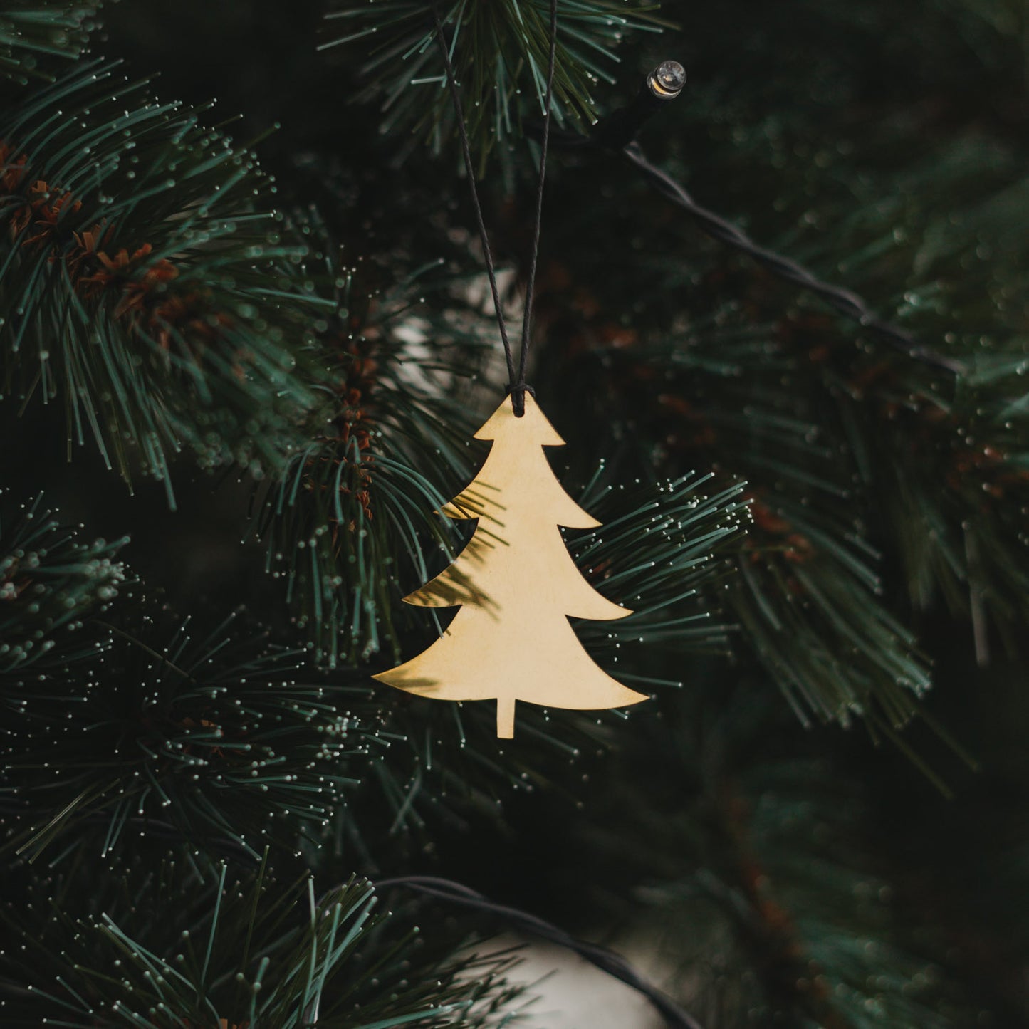 Goldener Tannenanhänger  mit schwarzem Band an grünem Tannenzweig.