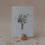Kartenset Flower Love im 6er Set | Eulenschnitt 