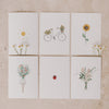 Kartenset Flower Love im 6er Set