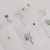 Kartenset Flower Love im 6er Set