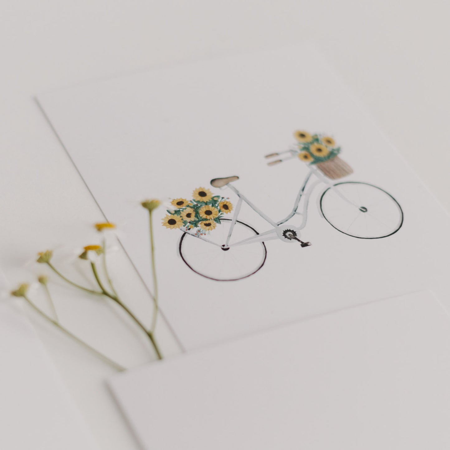 Kartenset Flower Love im 6er Set