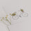 Kartenset Flower Love im 6er Set