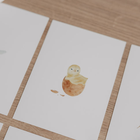 Aquarellkarte mit Küken-Motiv in Eierschale, kreativ auf Holztisch arrangiert.