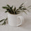 Grande tasse de Calma