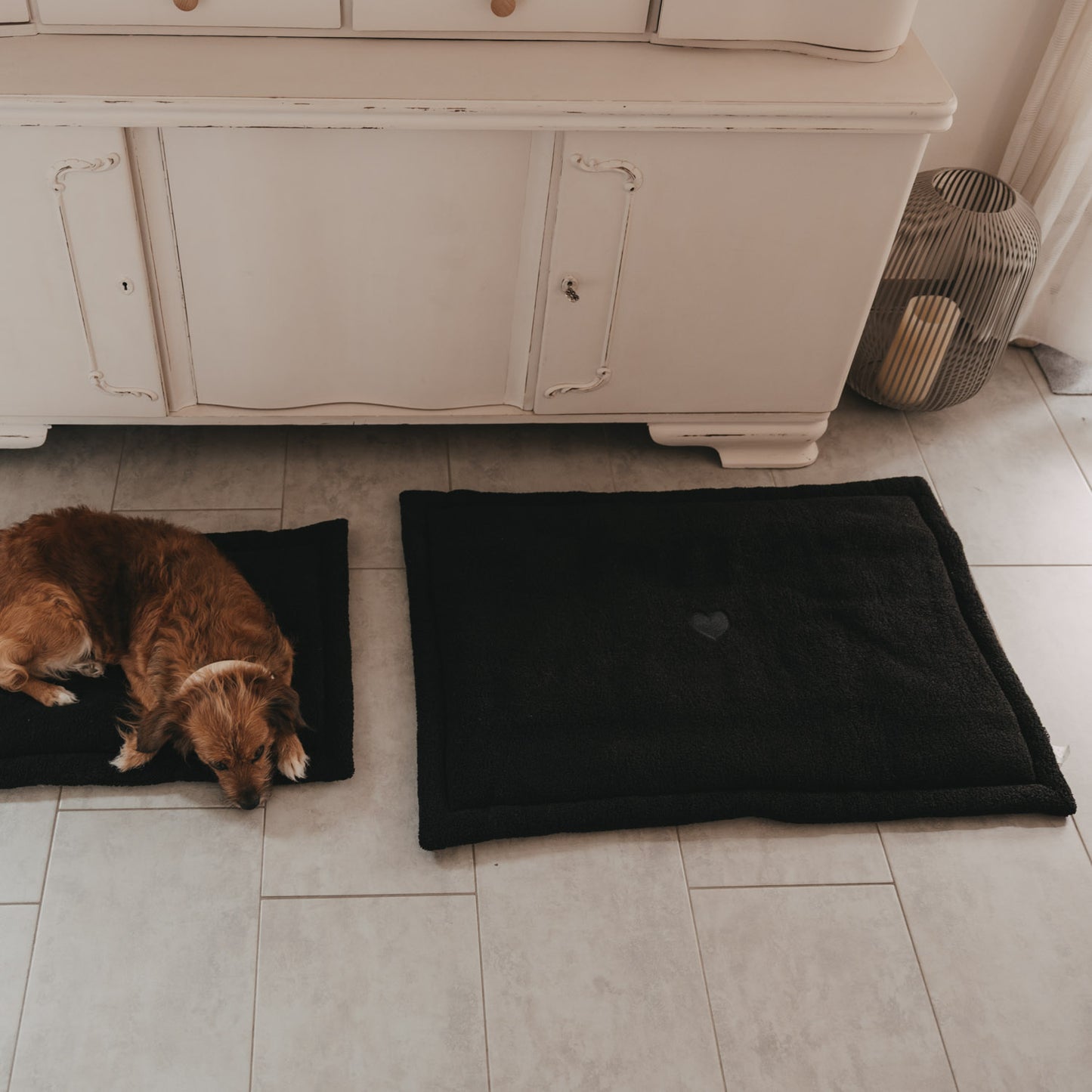 Zwei schwarze Hundedecken als gemütlicher Liegeplatz für Hunde im Zuhause