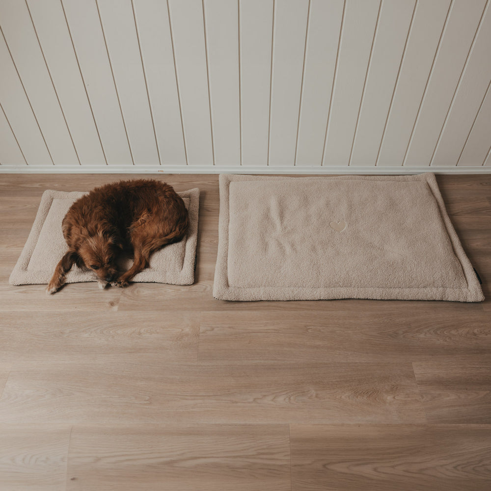 Zwei cremefarbene Hundedecken als gemütlicher Liegeplatz für Hunde