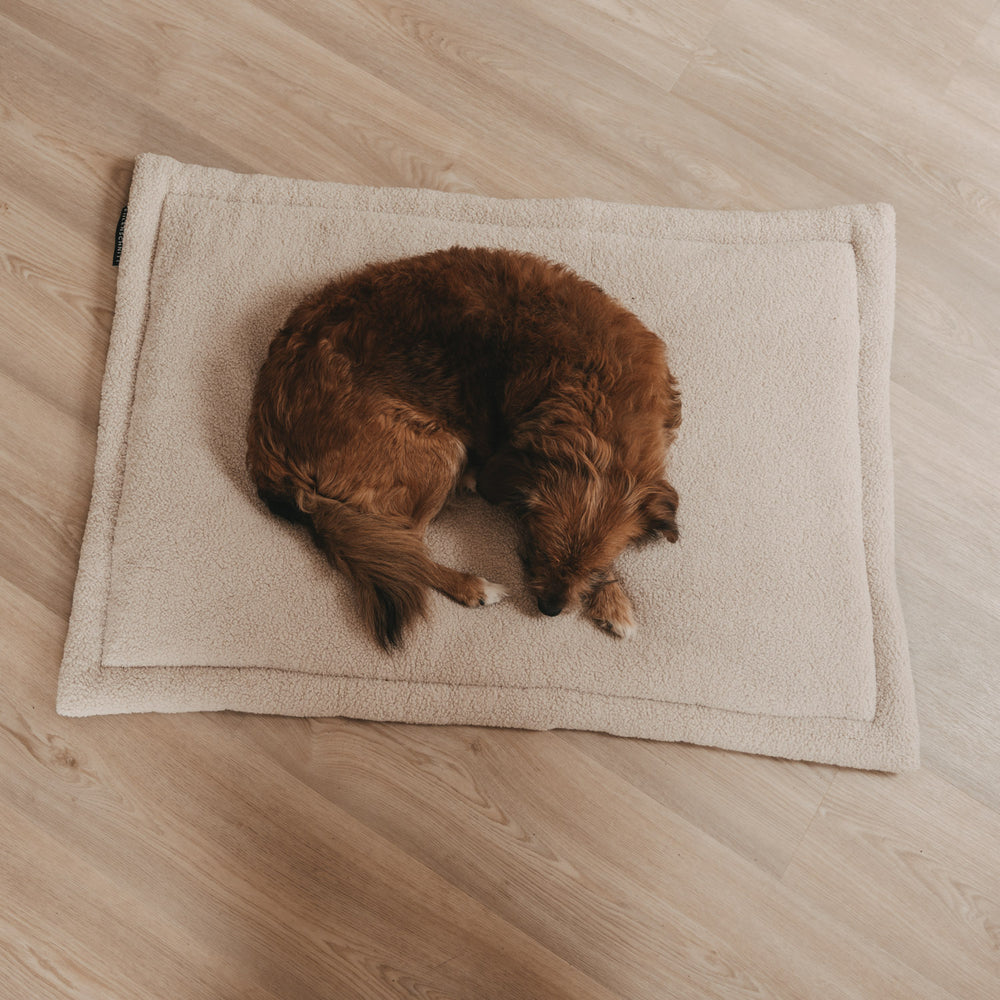 Hundedecke in Creme von oben mit liegendem Hund, weich und bequem