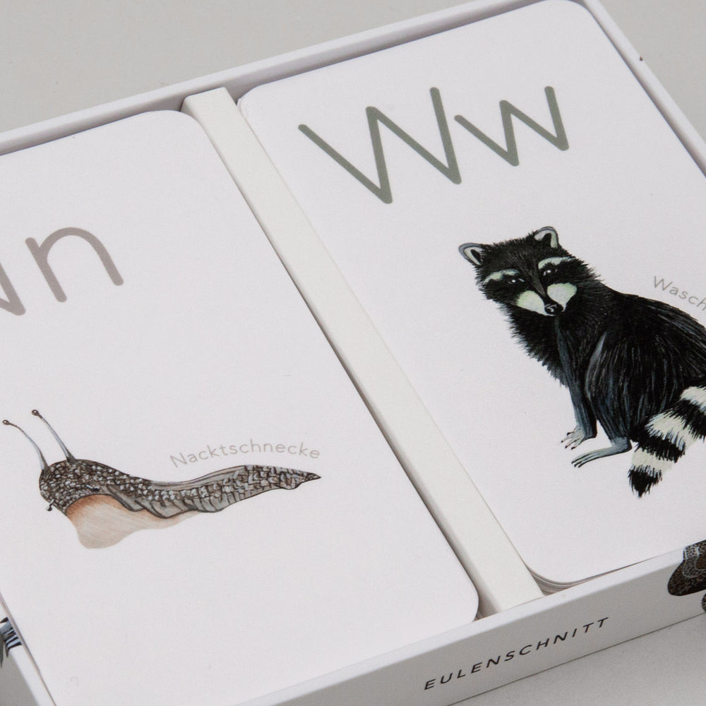 Tieralphabet Karten N für Nacktschnecke und W für Waschbär in Box.