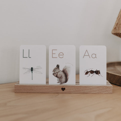 Libelle-, Eichhörnchen- und Ameisenkarte im Holzständer präsentiert.