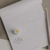 Radiergummi Daisy einzeln auf Notizblock neben Bleistift