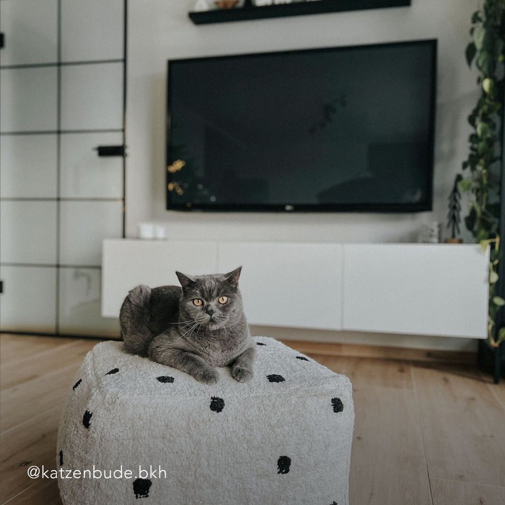 Pouf à pois