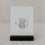 Cartes Celebration en lot de 6
